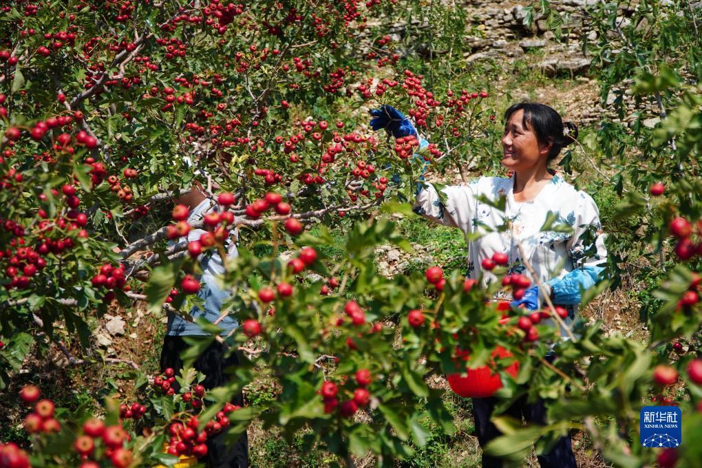 大奖888游戏平台