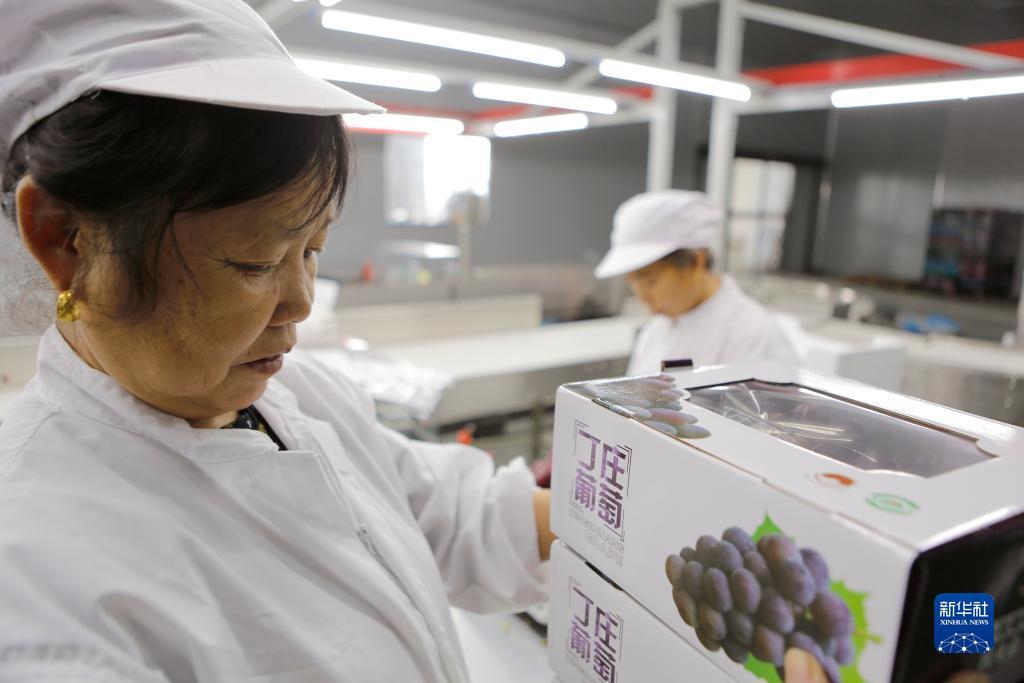 转转赢钱游戏网站
